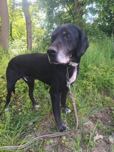 494814053_1245795347071909_5335323427953127489_n