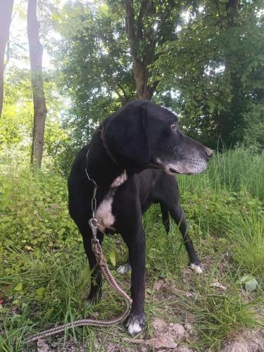 494814459_2361431050924576_7733649328689265567_n