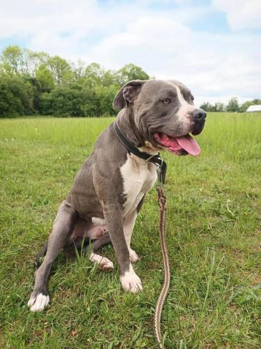 494815773_4049758735242805_6523919448595680589_n