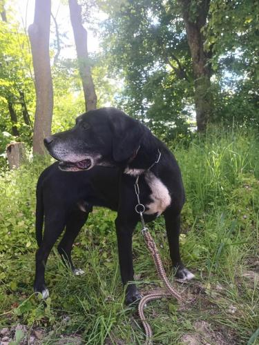 494817083_1654387518549353_2834483335193598331_n