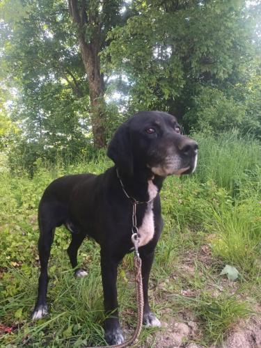 494817188_1596279984370406_1558193335148271342_n