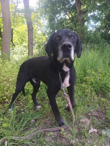 494820647_1238793324529676_2703785771536215383_n