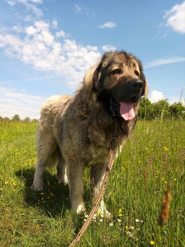 494820667_604644448649560_8698806407234076668_n