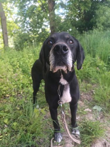 494822243_1187160549567123_1194444774693783996_n