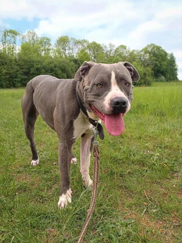 494823324_2036032817180885_3738808954931880164_n