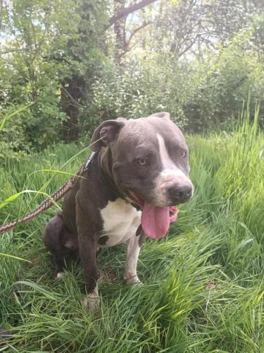 496093797_10064771103583312_8144848678629317456_n