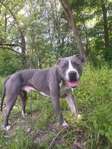 496094552_10064770443583378_2963052525028905794_n