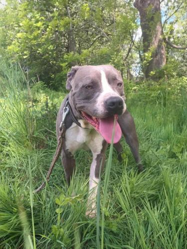 496937221_10064771540249935_5939645213046520083_n