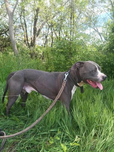 496947382_10064770866916669_7683397905050977550_n