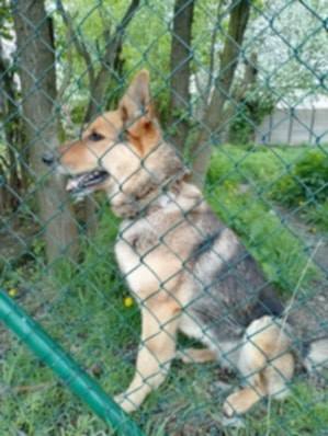 508408752_24094724456828074_5290216165283781233_n