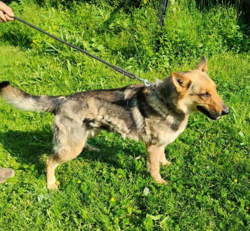 508453221_24094725026828017_1143298430119282836_n