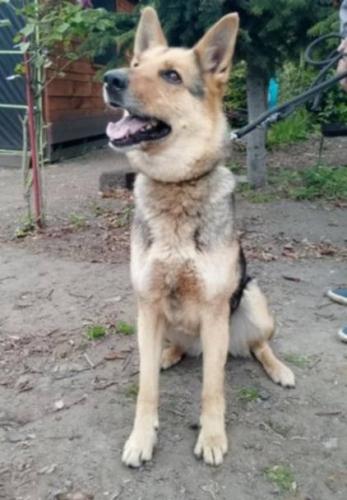 509359695_24094724063494780_8744317088648003304_n