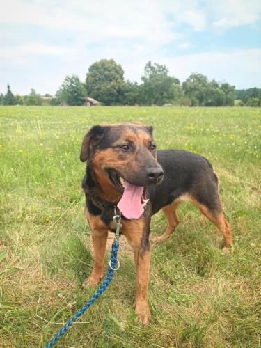 515241467_24211027275197791_5756421029560149002_n