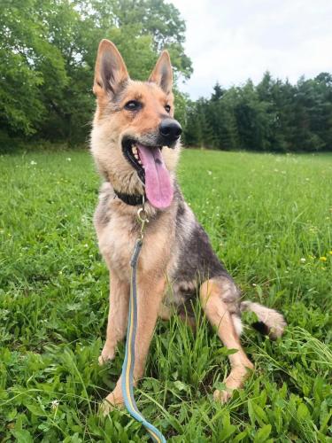 515306589_24212106708423181_8714955900566690784_n