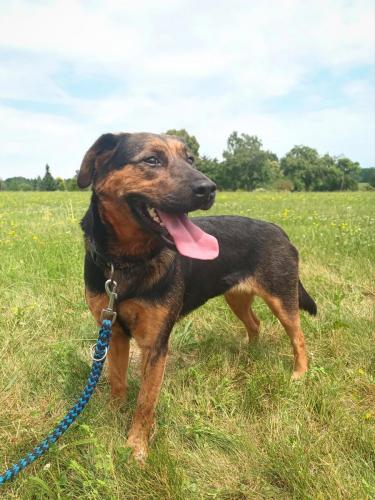 515338302_24211026978531154_7556430687602337157_n