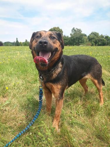 515412793_24211026688531183_8926653458391367695_n