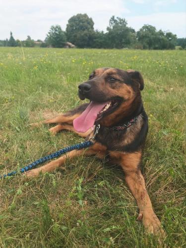 515441789_24211027725197746_5966407028032578267_n