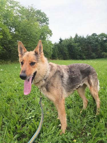 515443861_24212108855089633_7069873873711339523_n