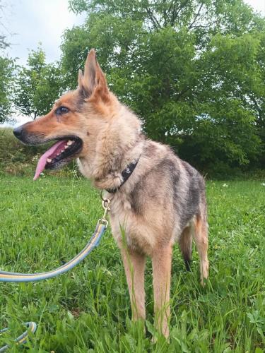 515499223_24212108225089696_7585263664392364881_n