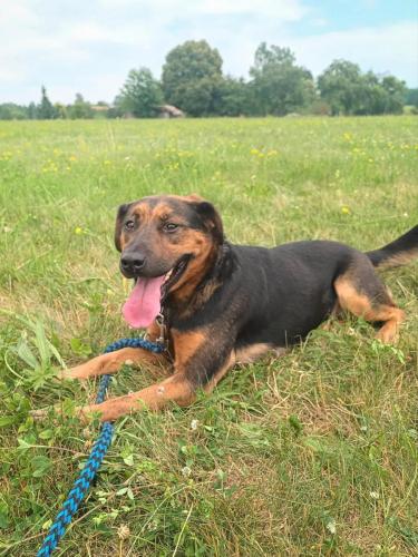 515503311_24211027995197719_7779574109277843841_n