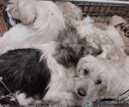 516847949_24257649193868932_8317198186293823571_n