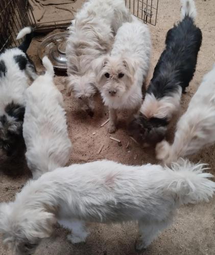 516924703_24257648967202288_1323918040726145198_n