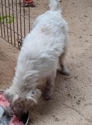 517589936_24257649900535528_1637930604035658663_n