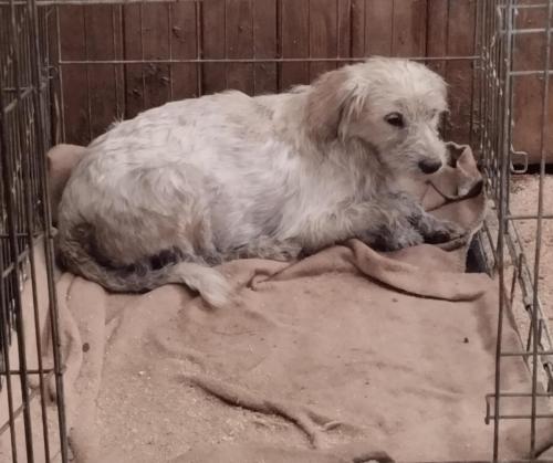 517595370_24257649653868886_9155281311175863702_n