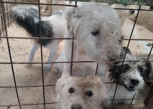 517740046_24257650087202176_2415505738032033419_n