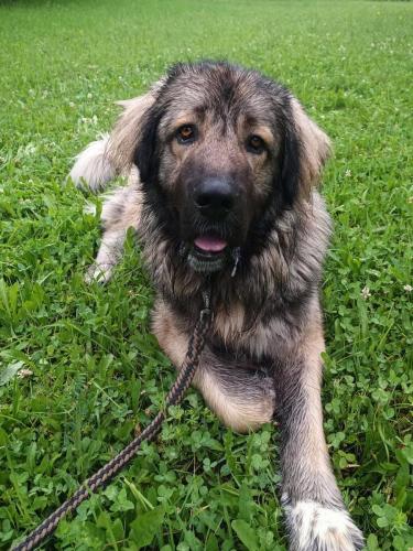 518108001_24288340147466503_6775000144872838252_n