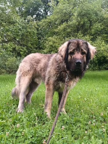 518130435_24288340930799758_8920781072470191850_n