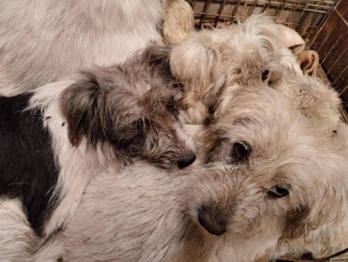 518331361_24257649383868913_3221345581176533502_n