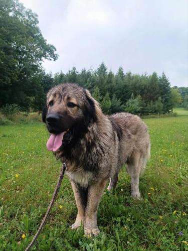 518714729_24288340574133127_3640013864845027472_n