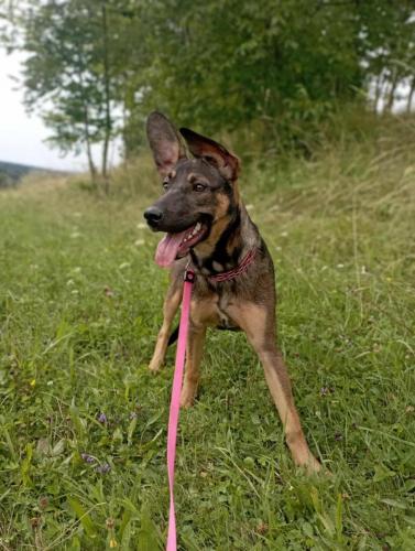 523928301_24396293036671213_7035392752793145215_n