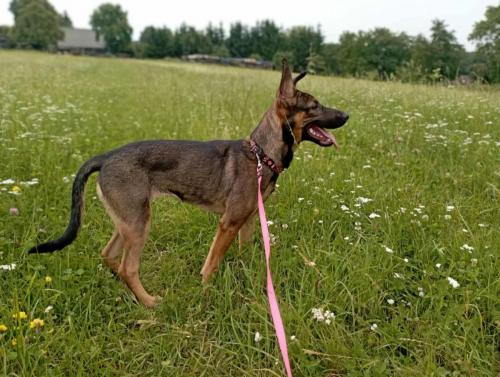 524025096_24396293326671184_5292999527582624823_n