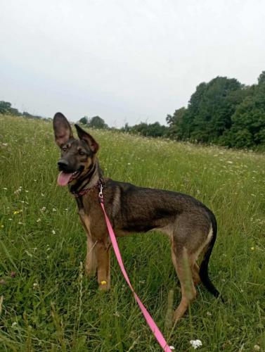 524859617_24396292690004581_8864248720079992387_n