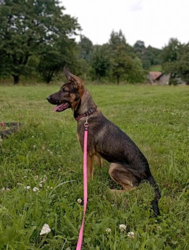 525182339_24396293596671157_9057772186719818558_n