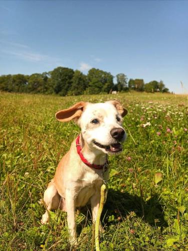 529853049_24521882844112231_1745646525963447960_n