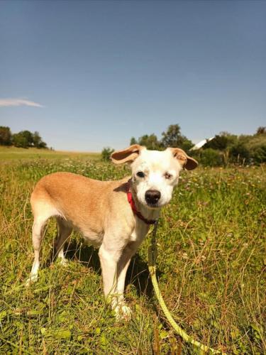 530552085_24521882224112293_7184364797075346467_n