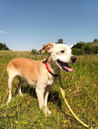 530578325_24521883030778879_2440434905624018192_n