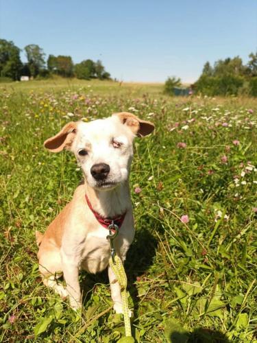 530759624_24521881570779025_7077898816787176443_n