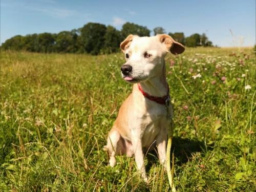 530819090_24521882387445610_6655073266186301035_n