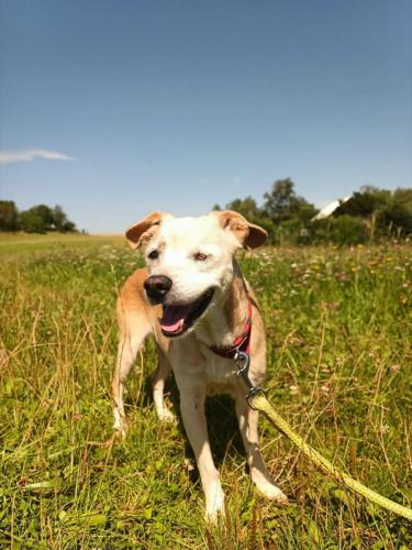 530920441_24521881440779038_6340211736473959344_n