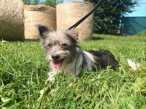 531549130_778474661351843_2656378170858755529_n