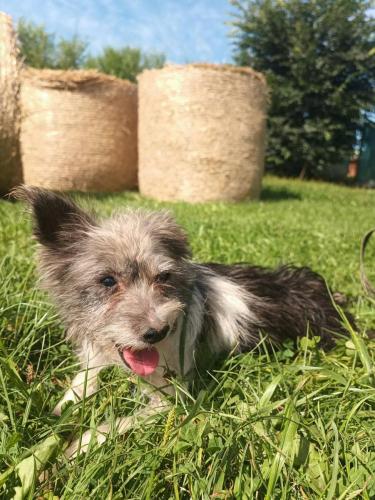 531747533_607368688919514_4083251396255422684_n