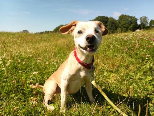 531810060_24521881990778983_7988196161031347171_n