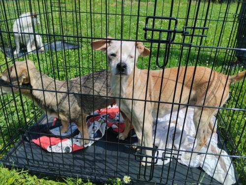 531842573_24521883324112183_1931112668439837442_n