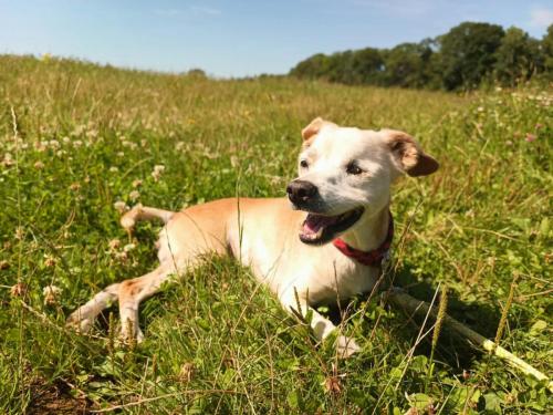 531845875_24521882534112262_6781263279399390496_n