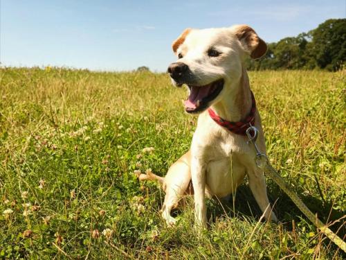 532059418_24521882680778914_1204318661320002443_n