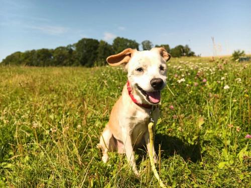 532238767_24521881730779009_5331254205658613340_n